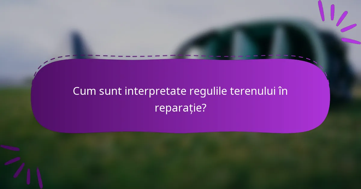 Cum sunt interpretate regulile terenului în reparație?